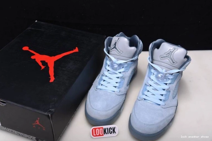 Cheap LUCY Air DD9336-400 Bluebird Retro Jordan 5 (W) 0710
